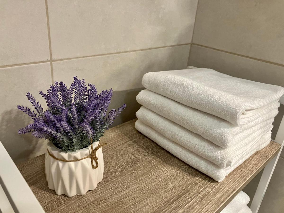 Petlov Salas Rooms Novi Sad Extérieur photo