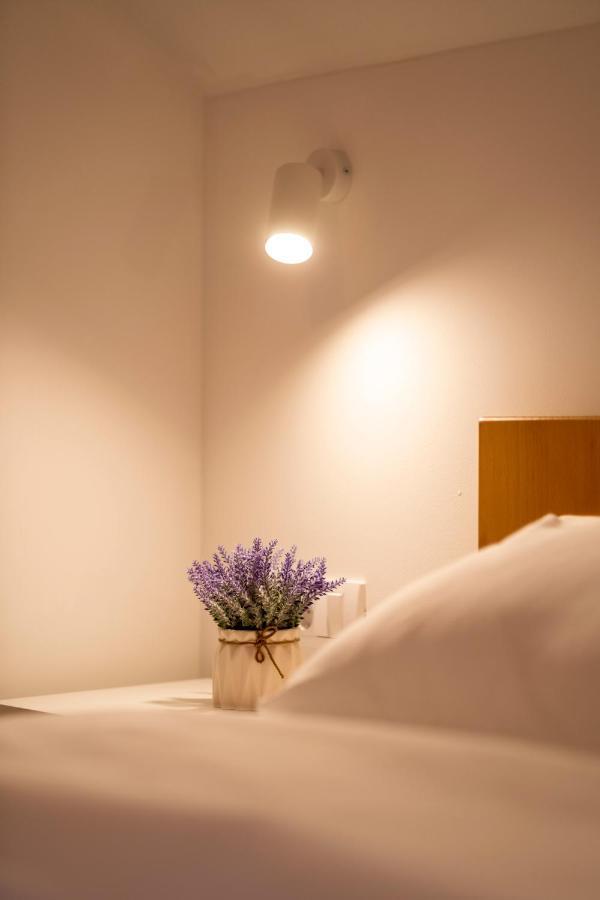Petlov Salas Rooms Novi Sad Extérieur photo